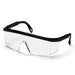 Integra Safety Glasses - Jackson Handling Ltd