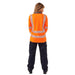 Ladies Hi Vis Savannah Birds Eye Long Sleeved Polo - Jackson Handling Ltd