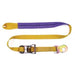 MOTORCYCLE RECOVERY STRAP 1 - Jackson Handling Ltd